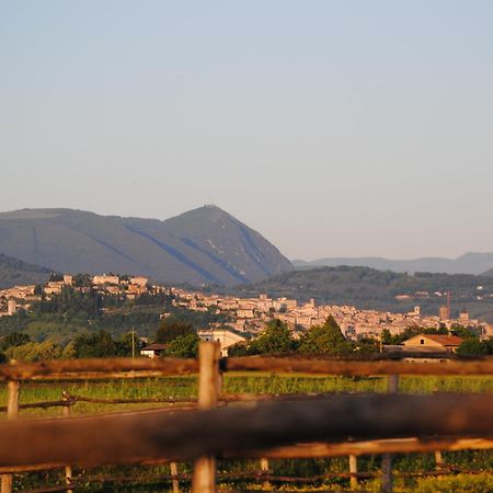 Agriturismo Il Barco Spello Luaran gambar