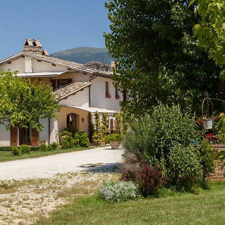 Agriturismo Il Barco Spello Luaran gambar