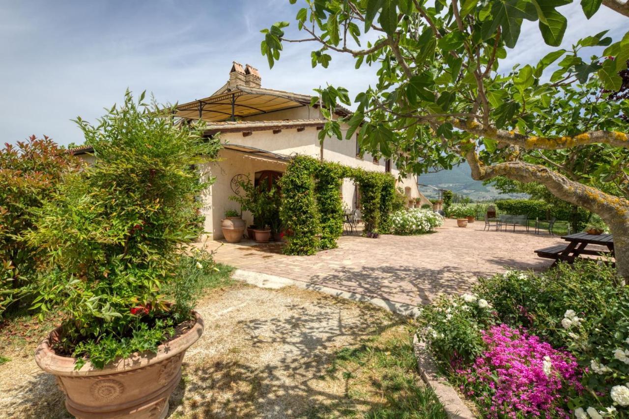 Agriturismo Il Barco Spello Luaran gambar