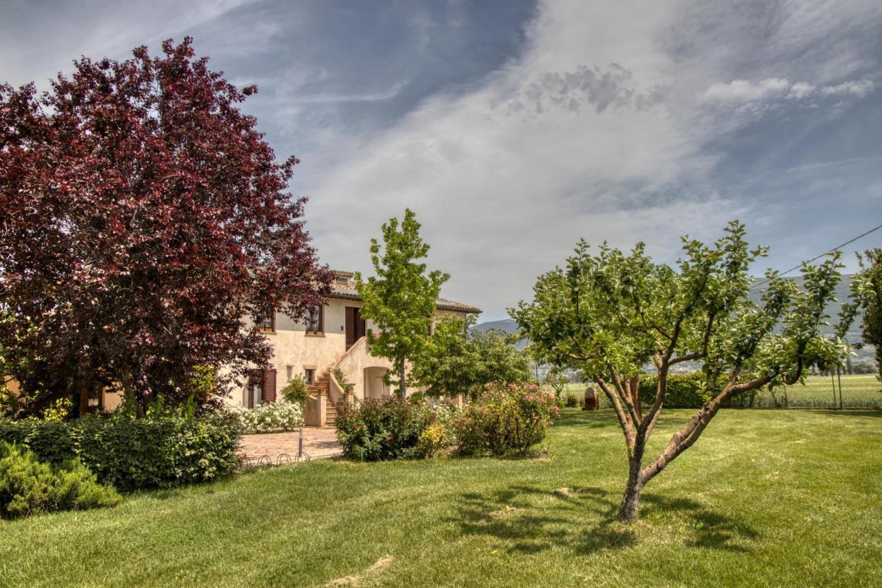 Agriturismo Il Barco Spello Luaran gambar