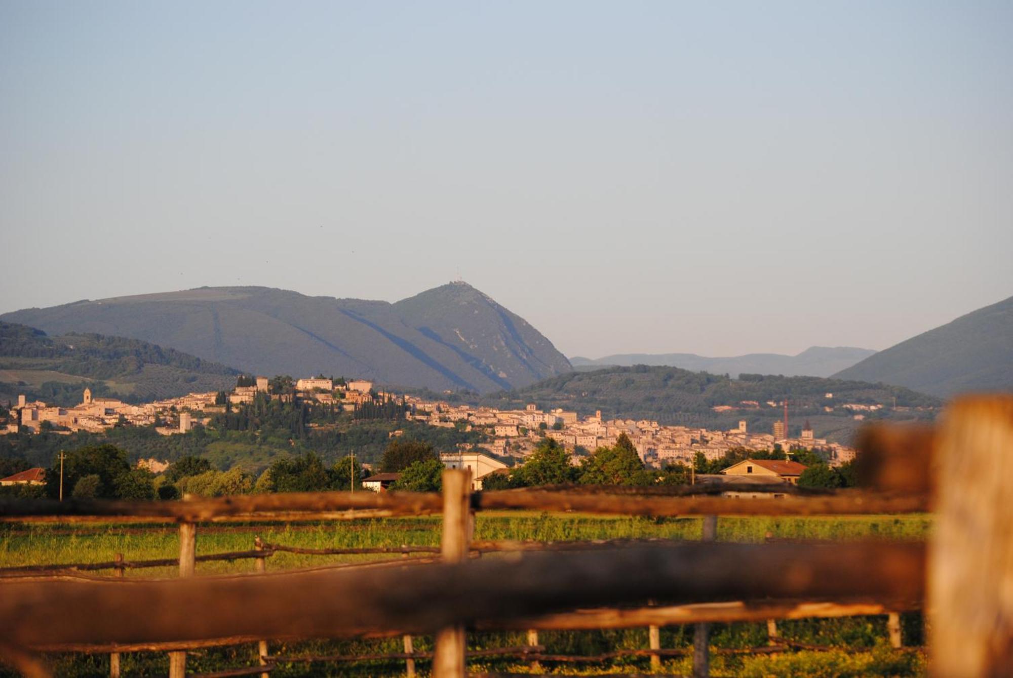 Agriturismo Il Barco Spello Luaran gambar