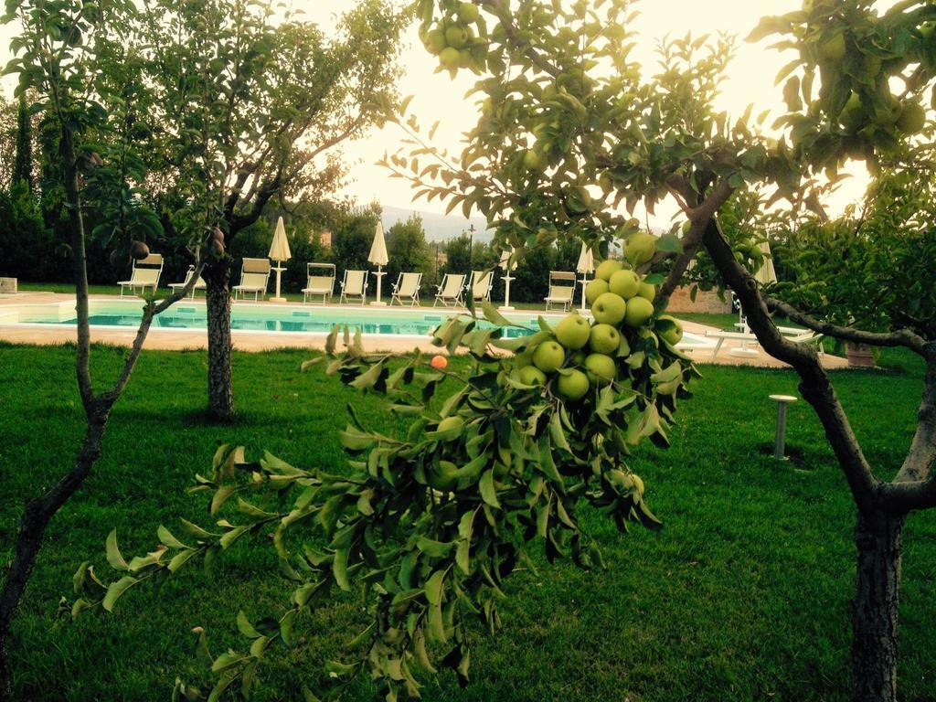 Agriturismo Il Barco Spello Luaran gambar