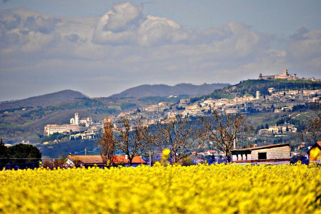 Agriturismo Il Barco Spello Luaran gambar