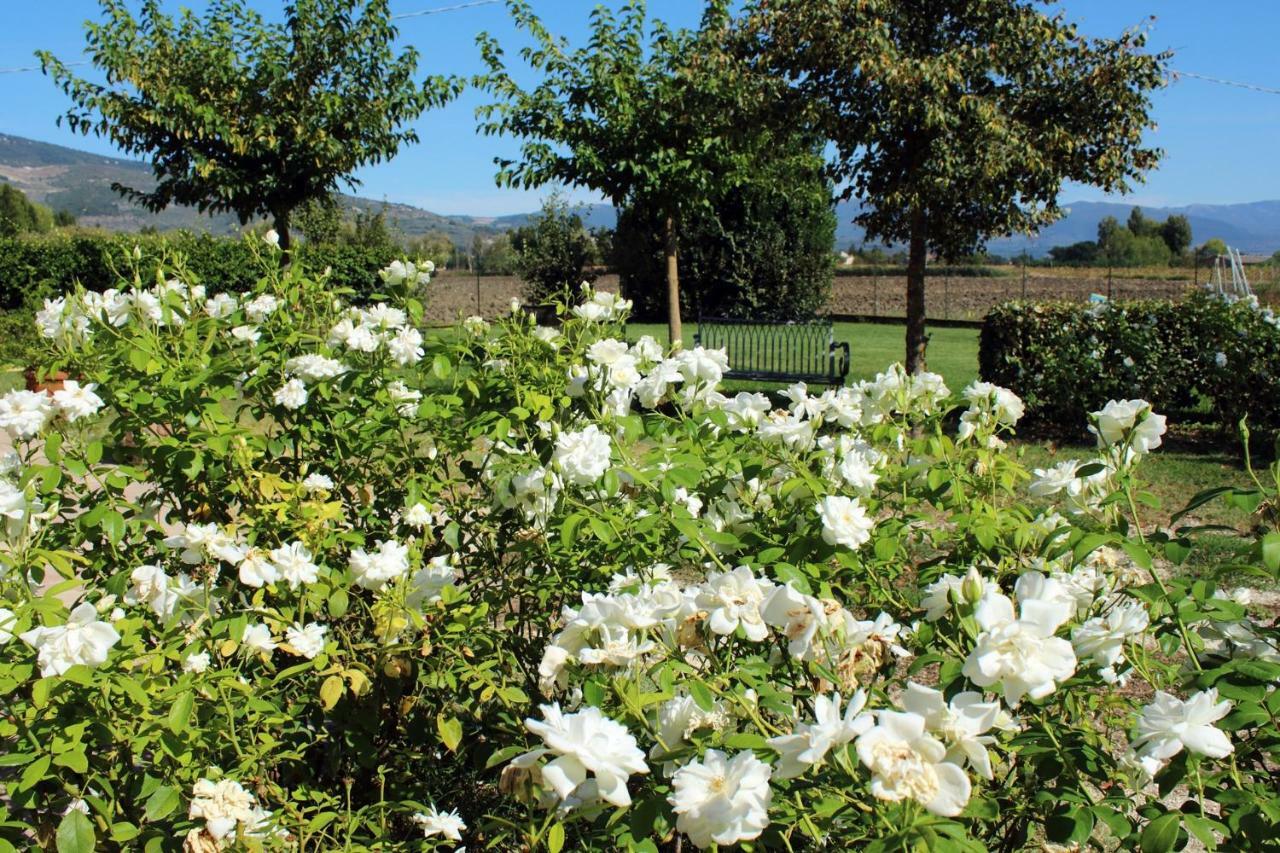 Agriturismo Il Barco Spello Luaran gambar